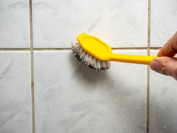  El Sobrante, CA Mold Removal Pros
