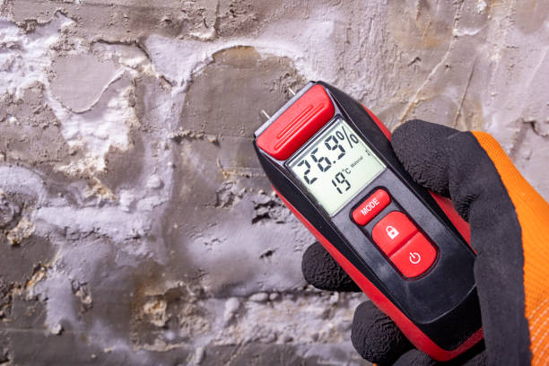 Crawl Space Mold Removal in El Sobrante, CA
