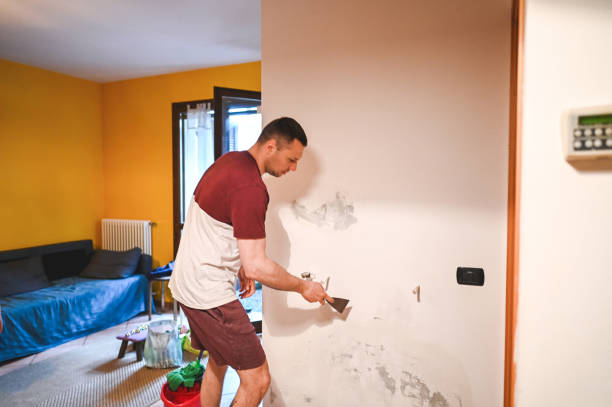 Best Crawl Space Mold Removal  in El Sobrante, CA