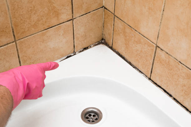 Best Mold Testing  in El Sobrante, CA